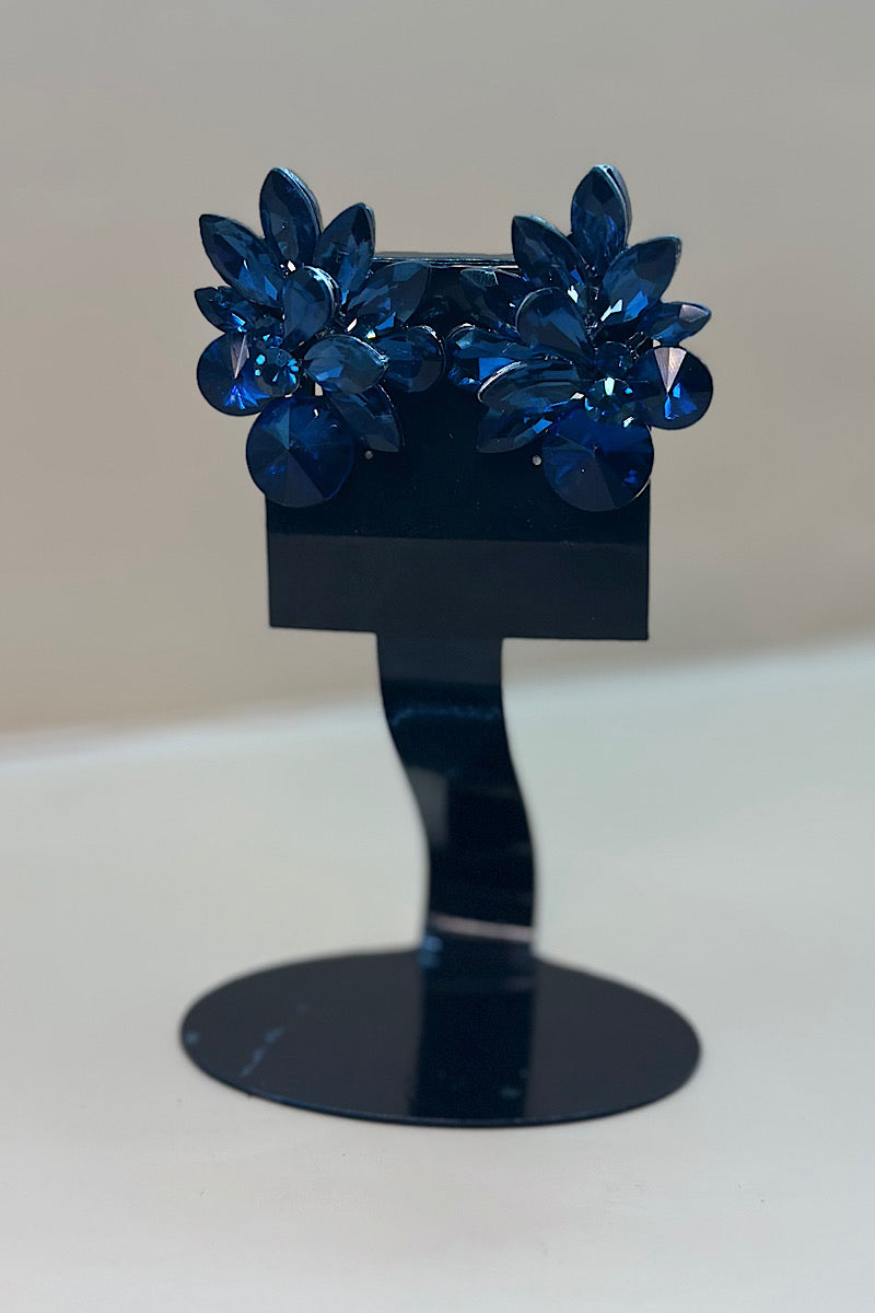 Earring- Multi Option Collection