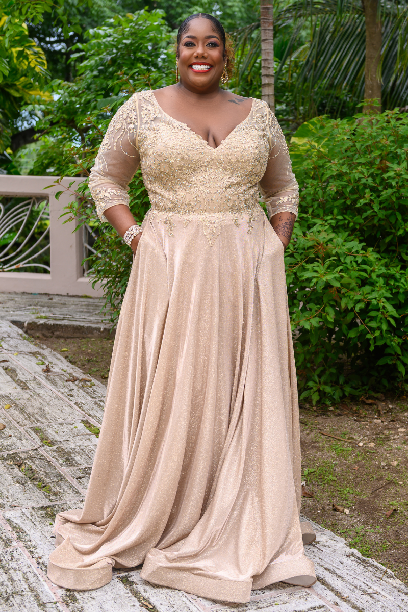 Shimmer V-Neck Embroidered Flare Formal
