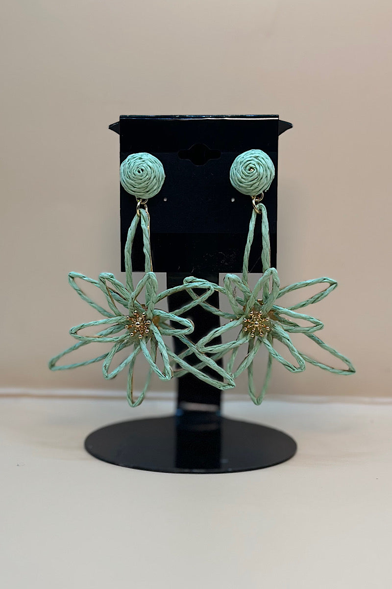 Earring- Multi Option Collection