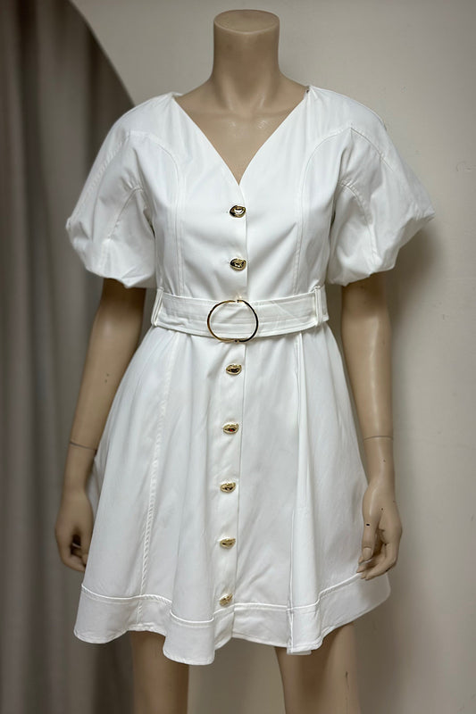 V-Neck Belted Mini Dress