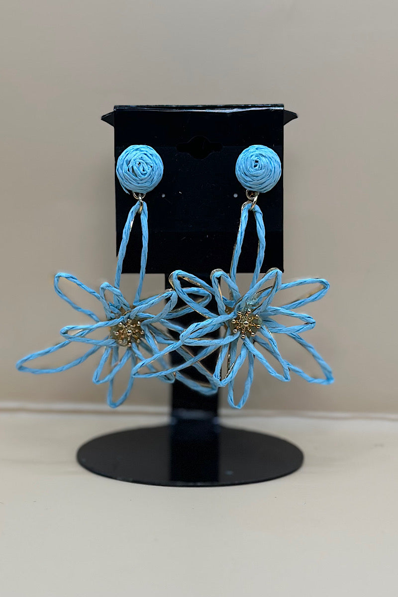 Earring- Multi Option Collection