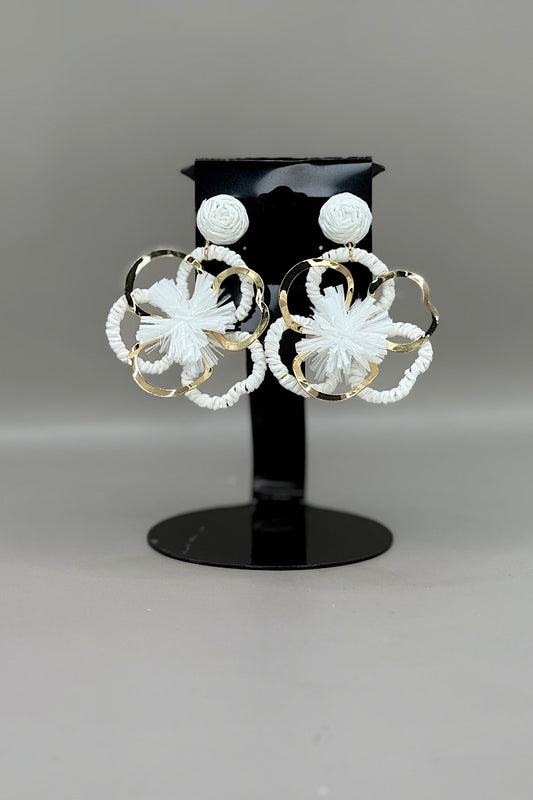 Earring- Multi Option Collection