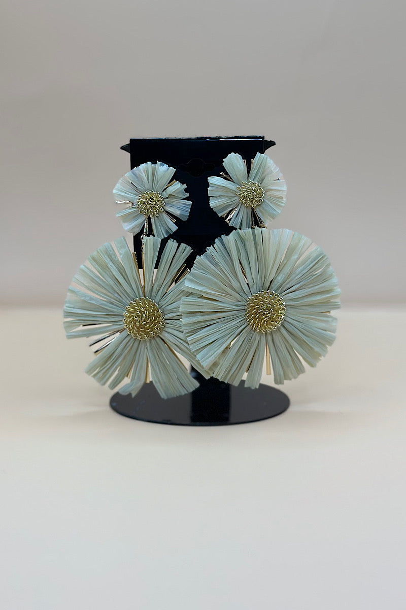 Earring- Multi Option Collection