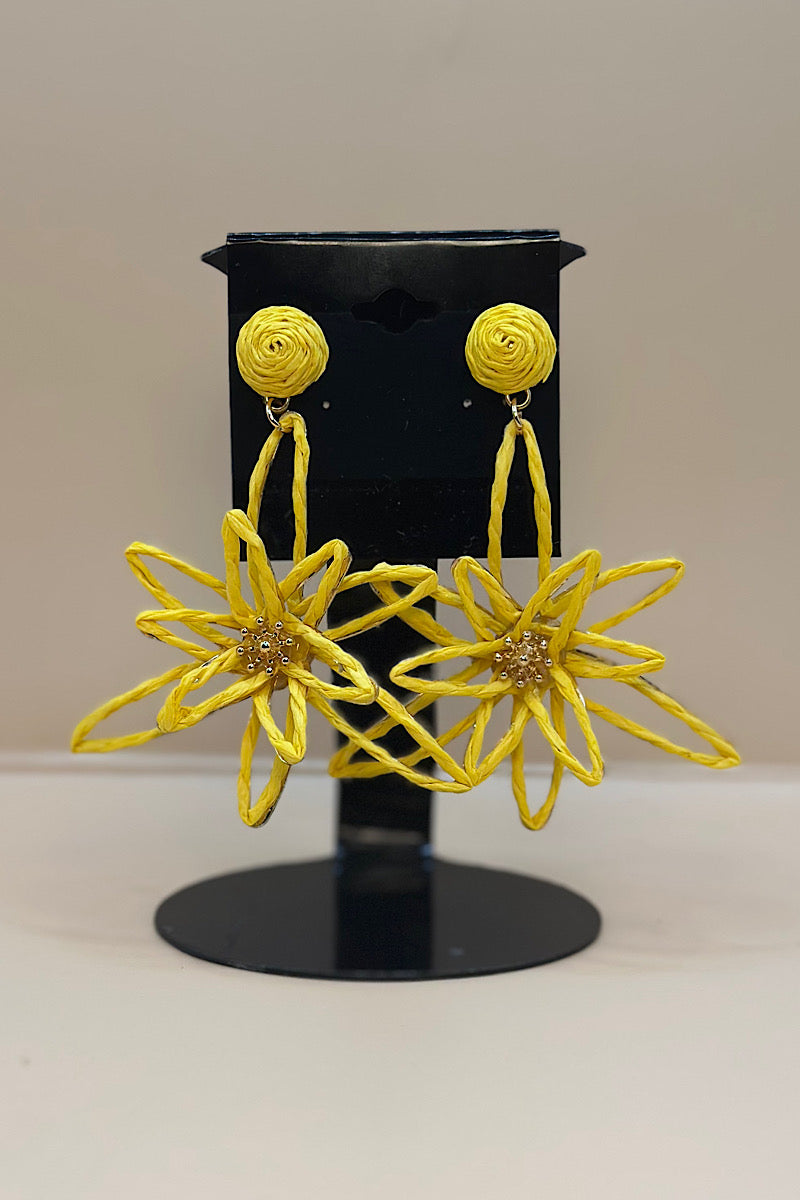 Earring- Multi Option Collection