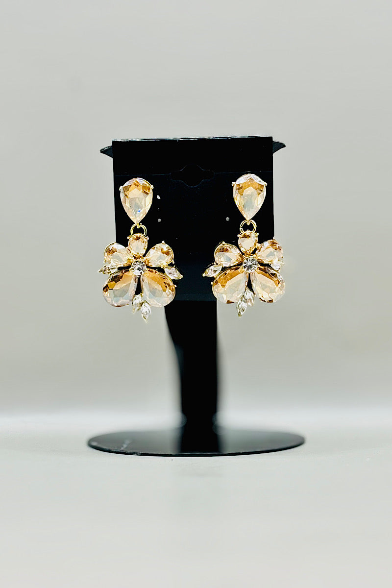 Earring- Multi Option Collection 128