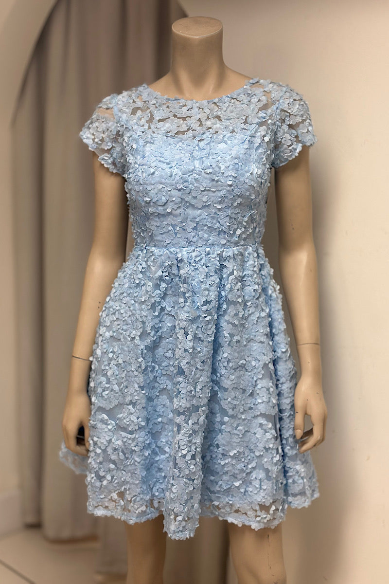 Floral Appliqué Mini Baby Doll Dress