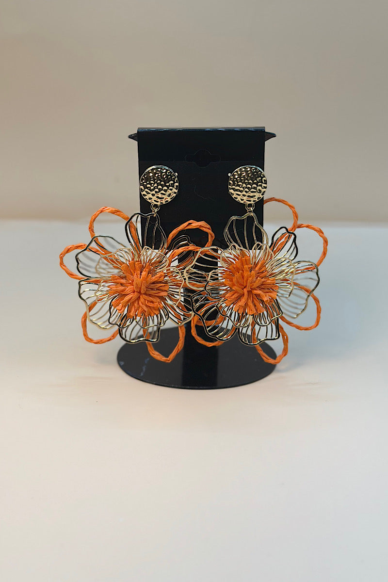 Earring- Multi Option Collection