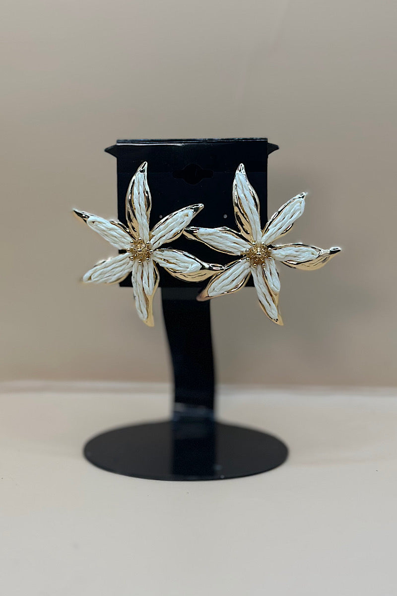 Earring- Multi Option Collection