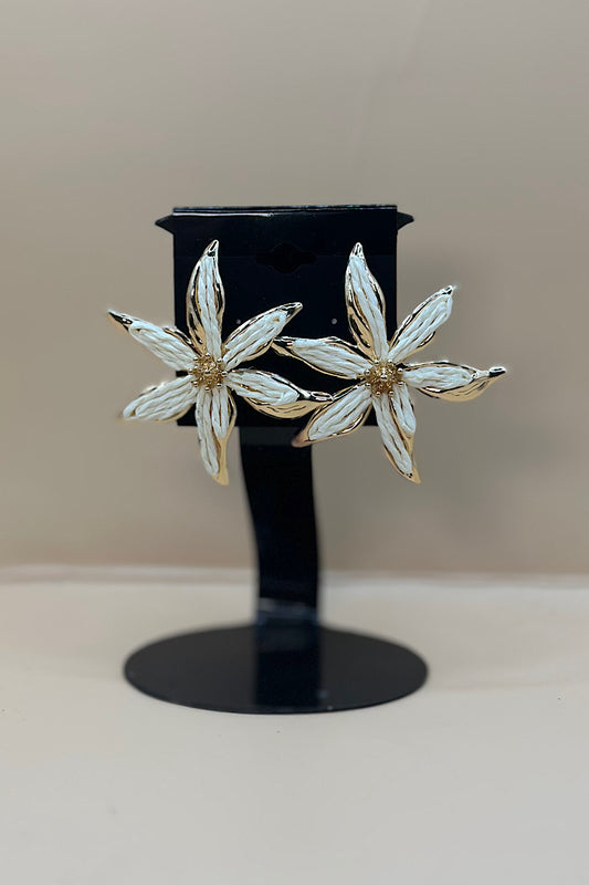 Earring- Multi Option Collection