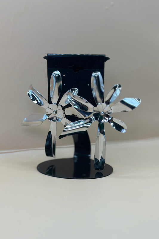 Earring- Multi Option Collection