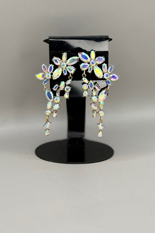 Earring- Multi Option Collection