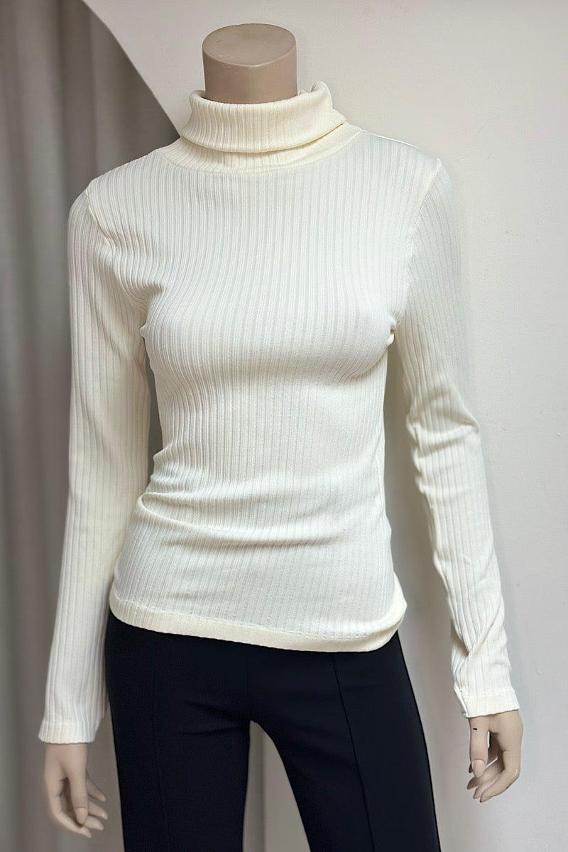 Ribbed Turtleneck