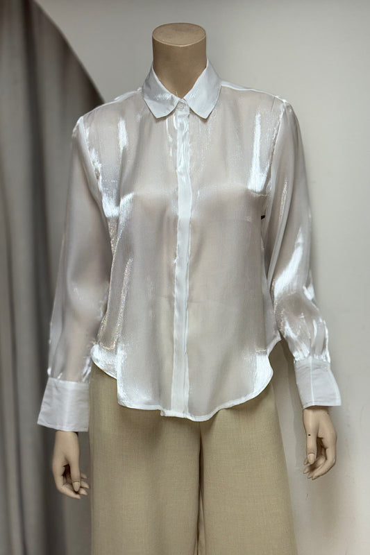 Shimmer Semi-Sheer Office Top