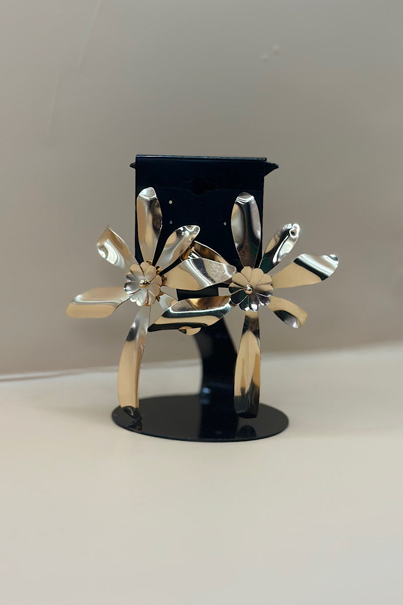 Earring- Multi Option Collection