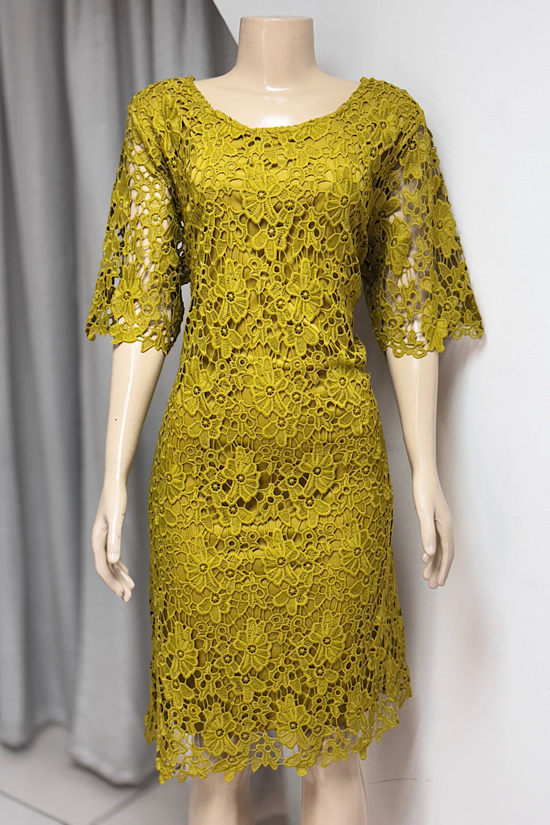 Floral Lace Knee Length Dress