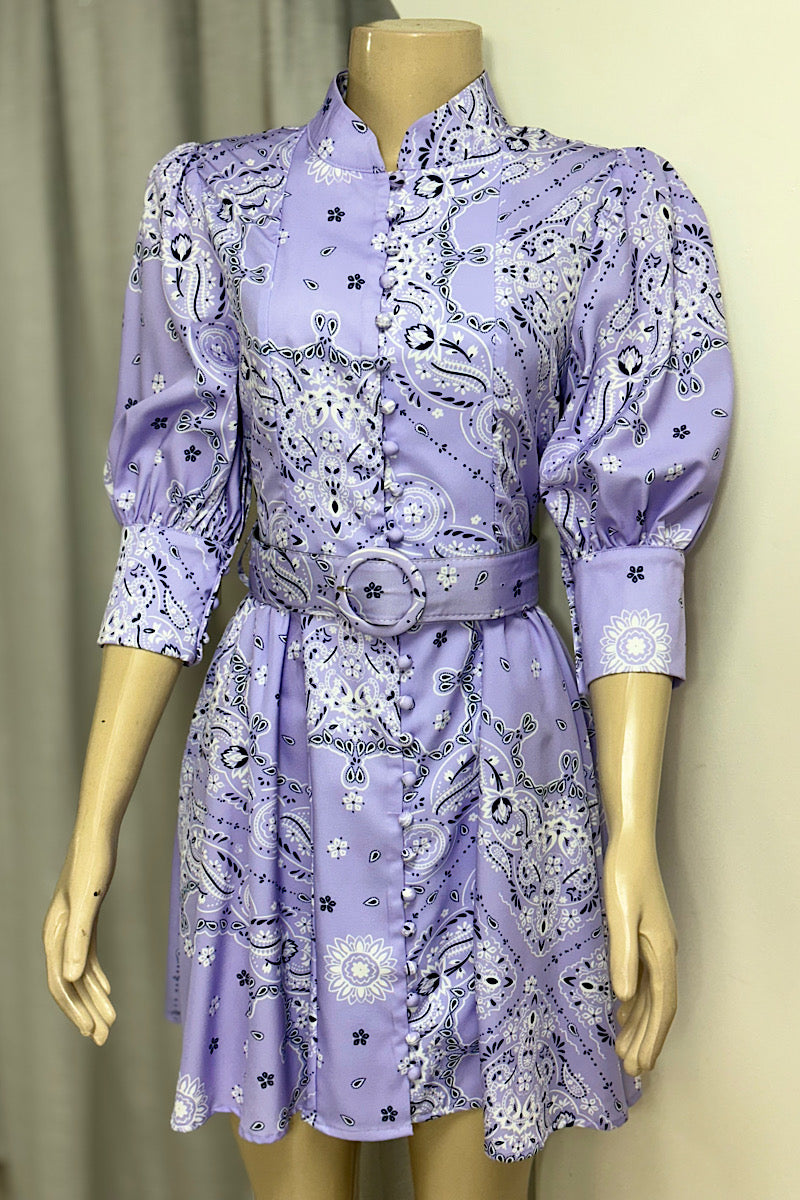 Purple Paisley Dress