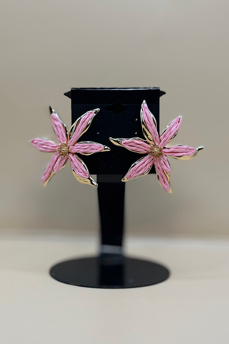 Earring- Multi Option Collection
