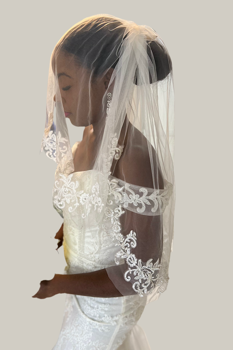 Silver Trim Lace Detail Veil