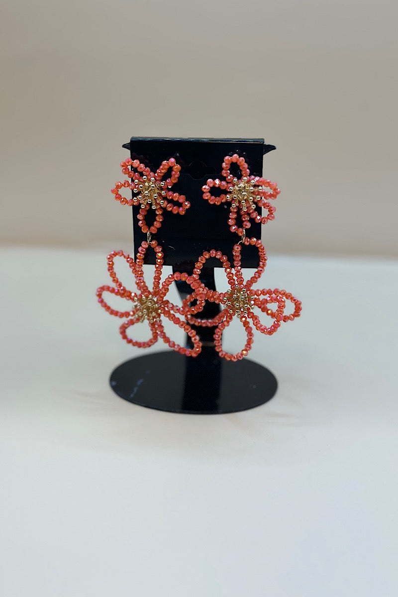 Earring- Multi Option Collection