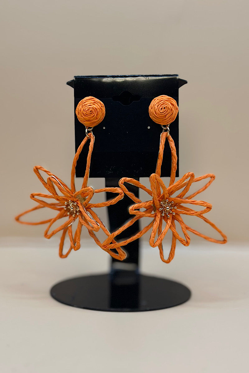 Earring- Multi Option Collection