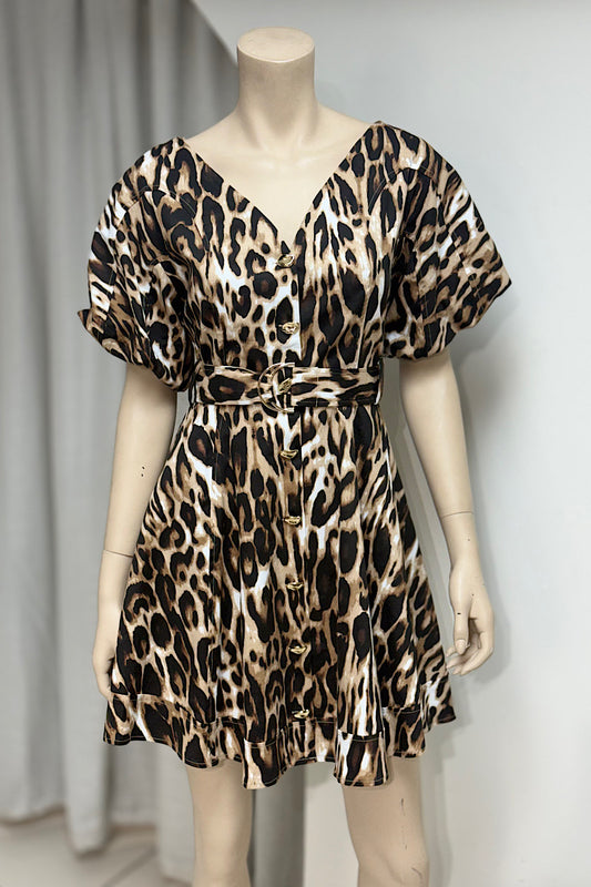 Leopard Print Belted Mini Dress