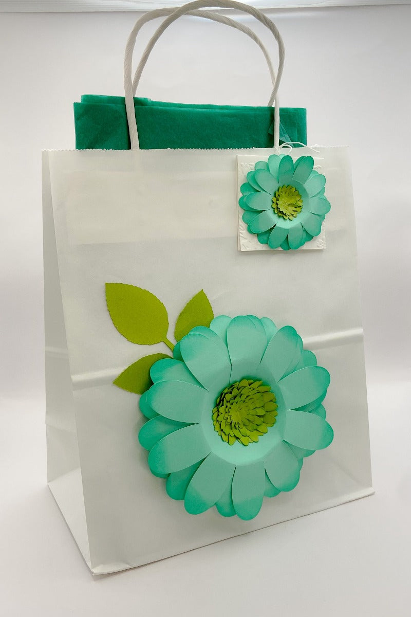 Big Gift Bag