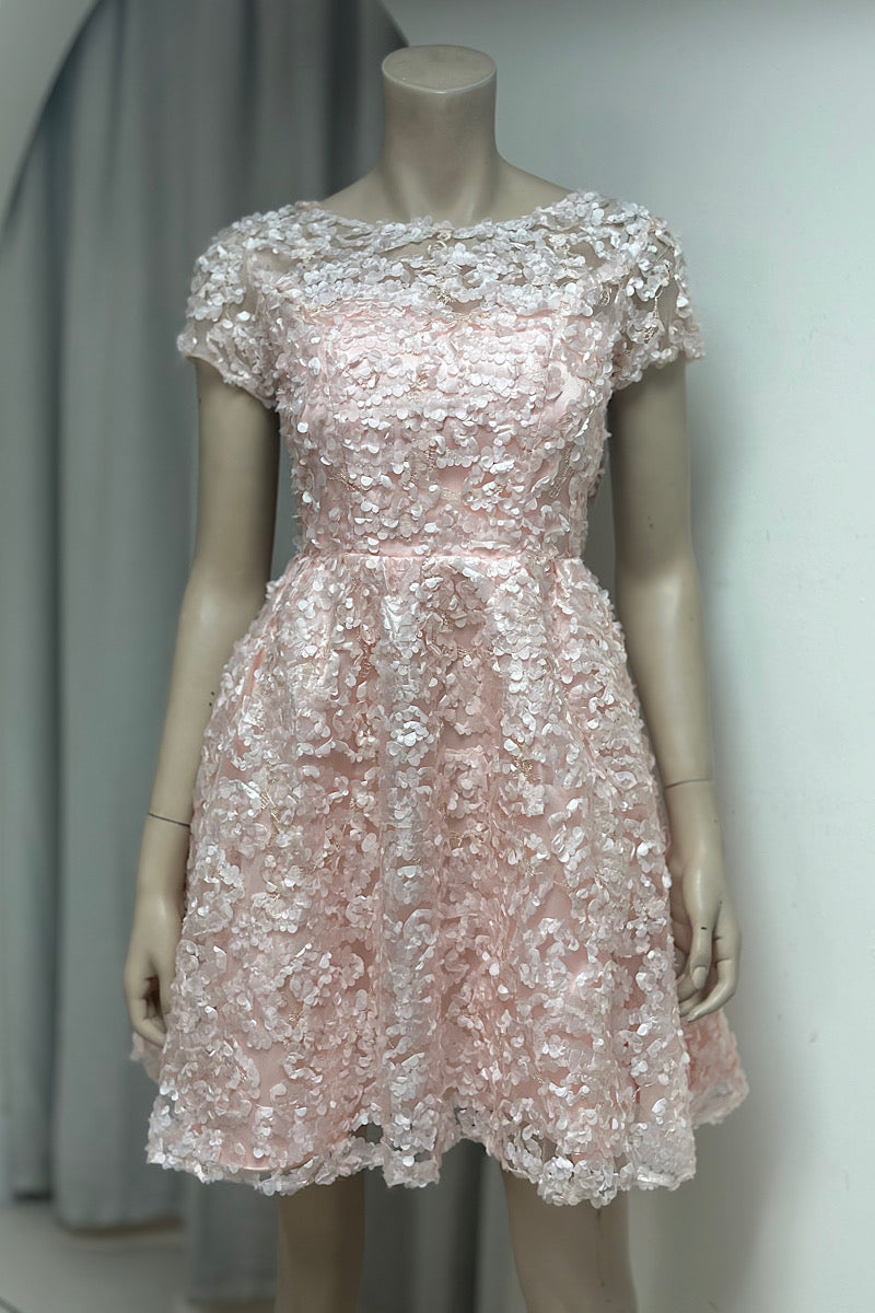 Floral Appliqué Mini Baby Doll Dress