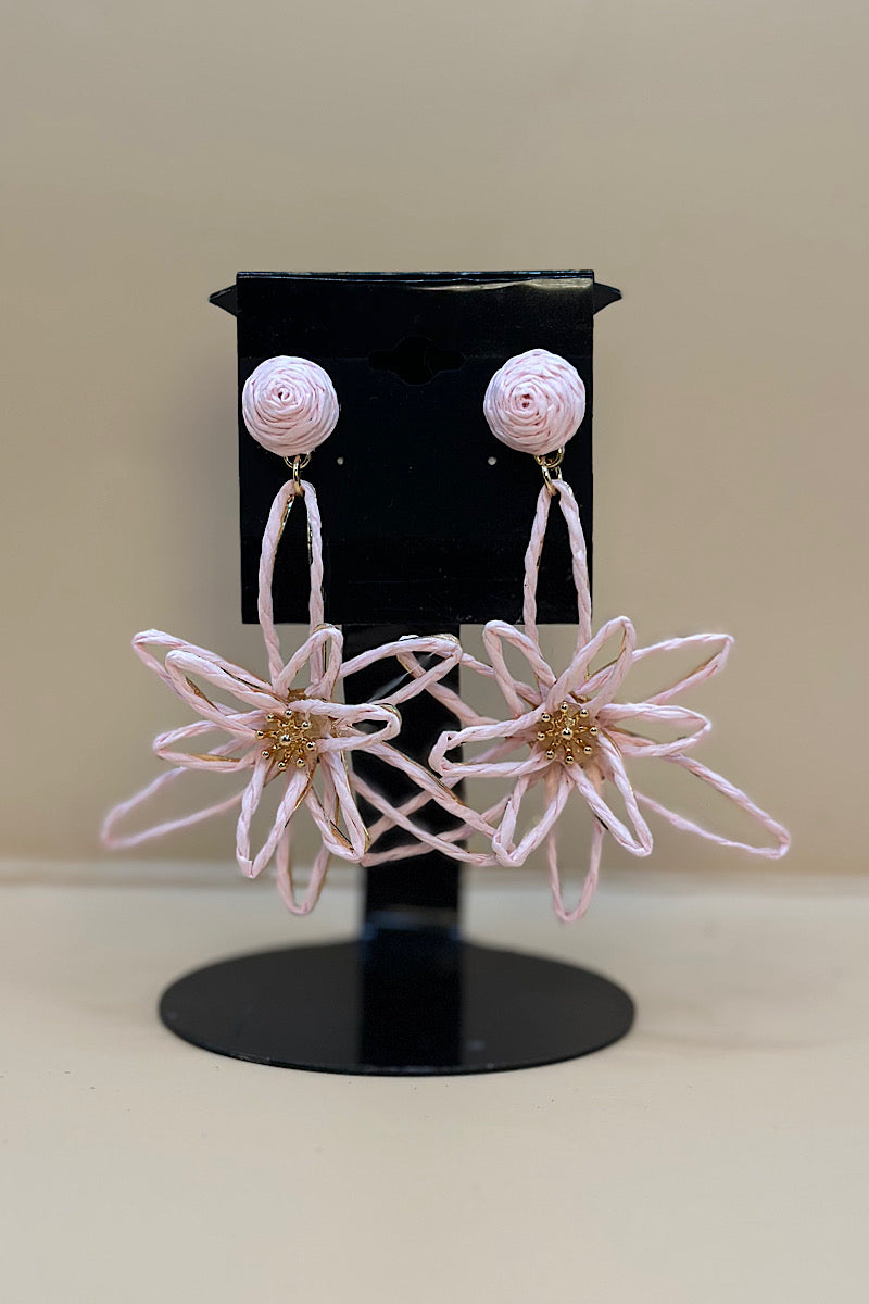 Earring- Multi Option Collection