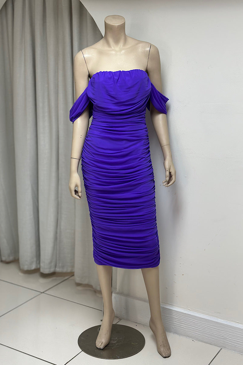 Ruched Fitted Mesh Dress