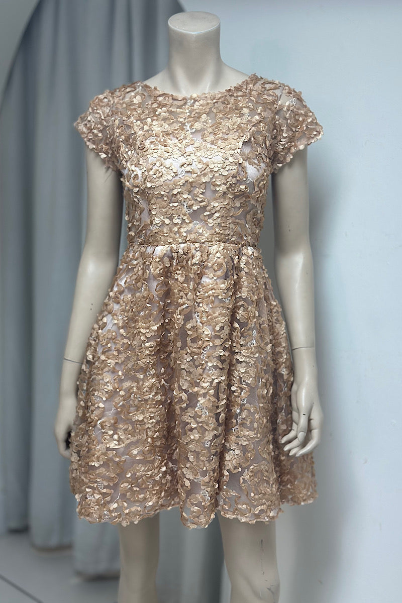 Floral Appliqué Mini Baby Doll Dress