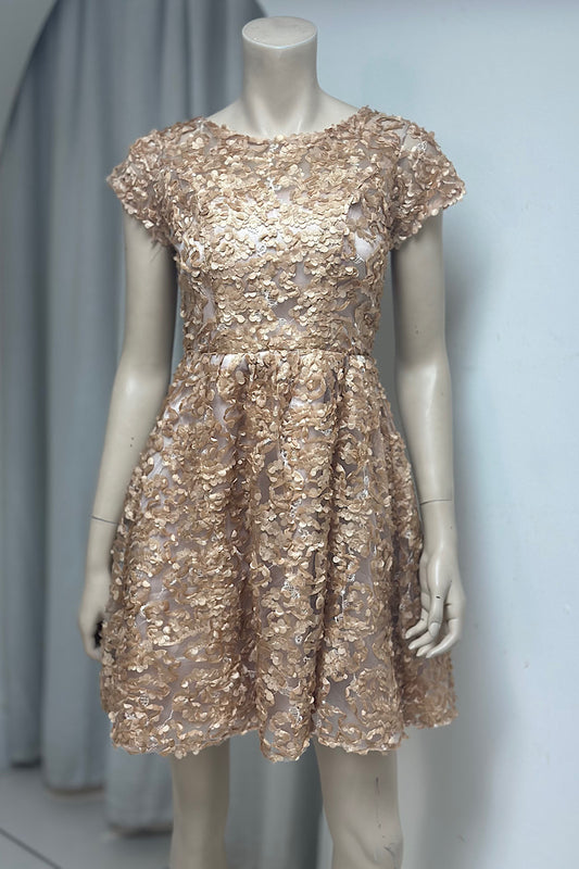 Floral Appliqué Mini Baby Doll Dress
