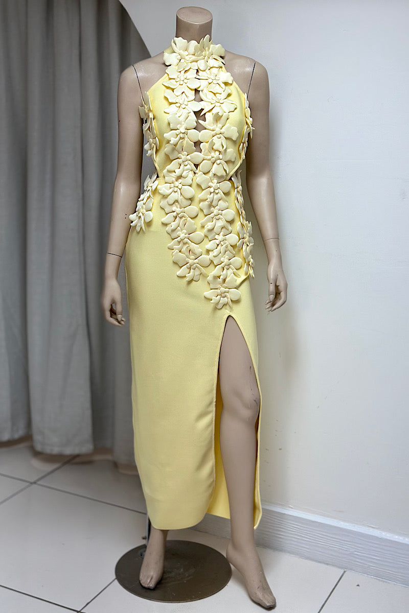 Flower Applique Cut-Out Bandage Dress