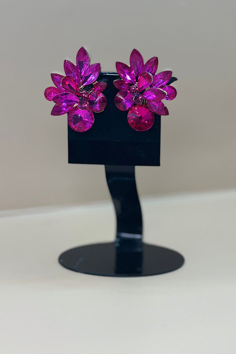 Earring- Multi Option Collection