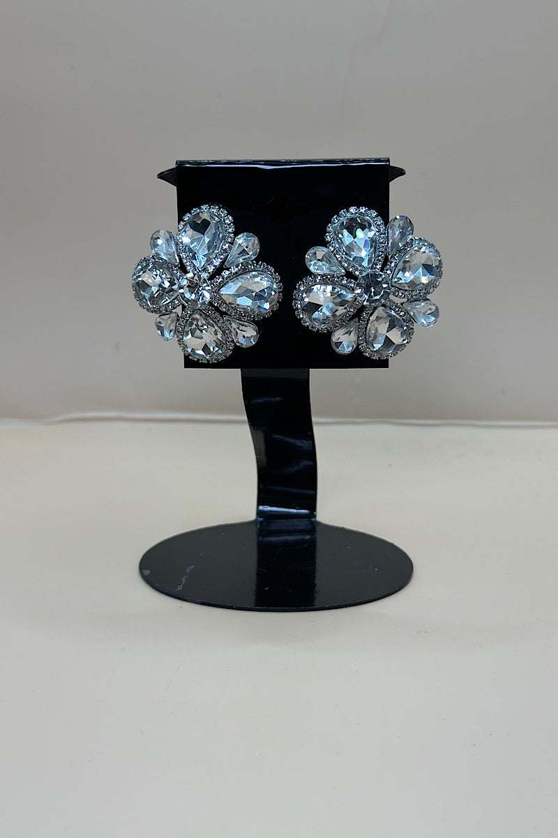 Earring- Multi Option Collection