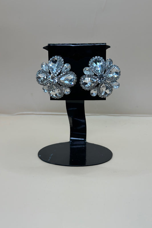 Earring- Multi Option Collection