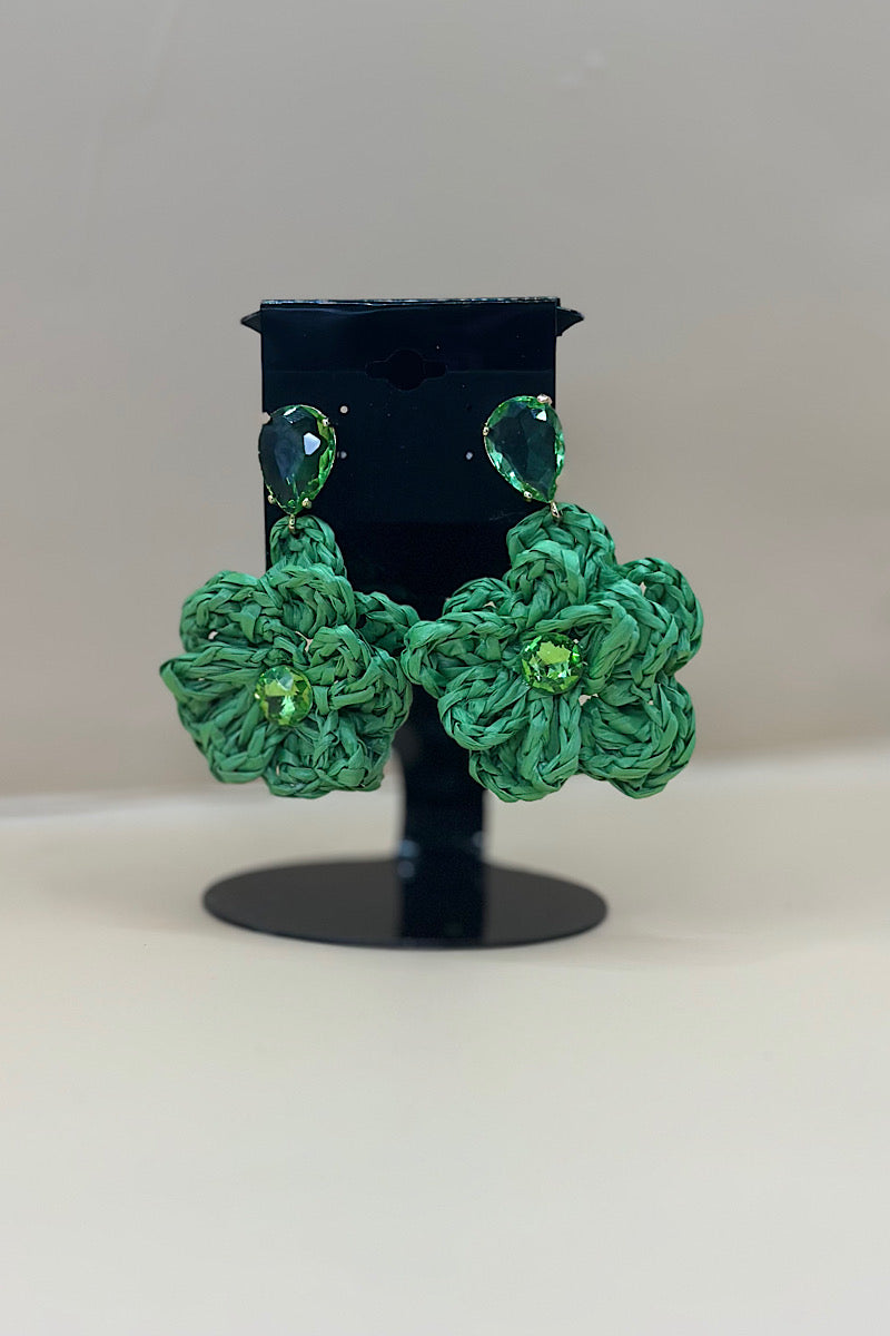 Earring- Multi Option Collection