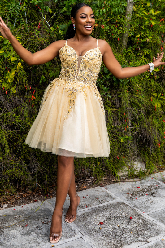 Embroidered Sequin Tulle Mini Formal