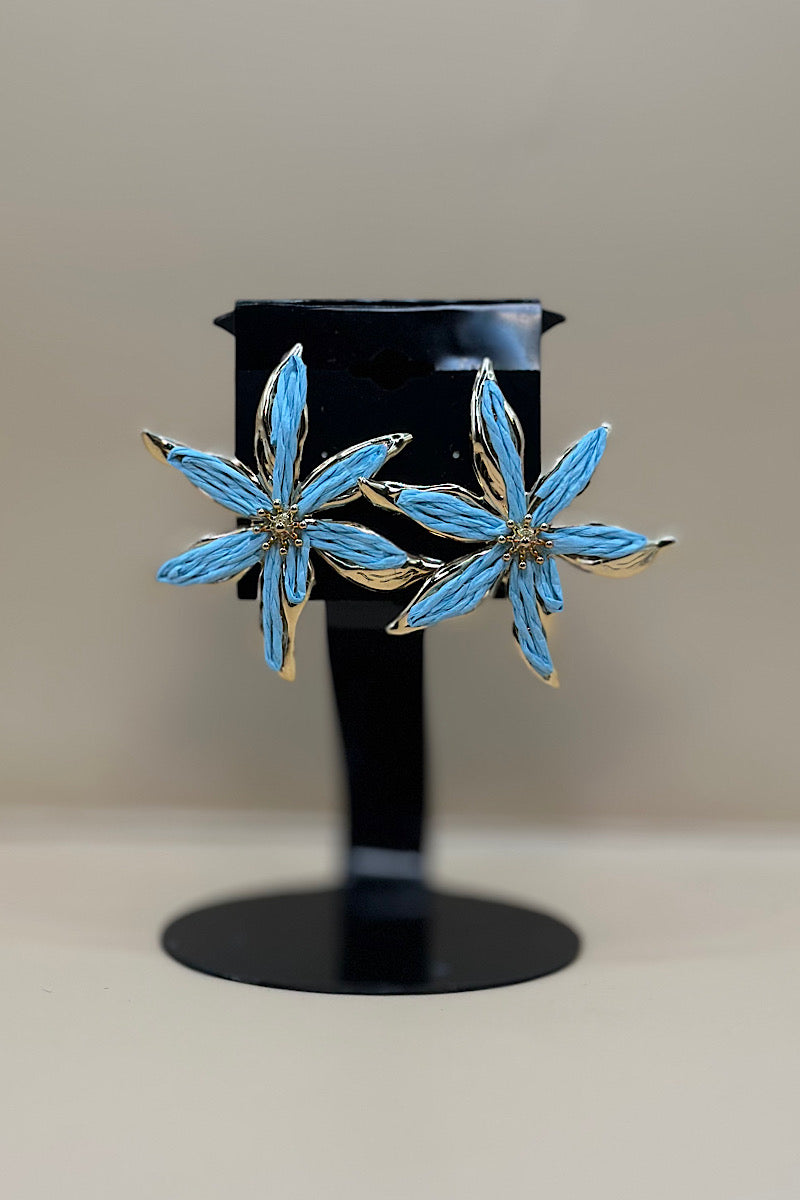 Earring- Multi Option Collection