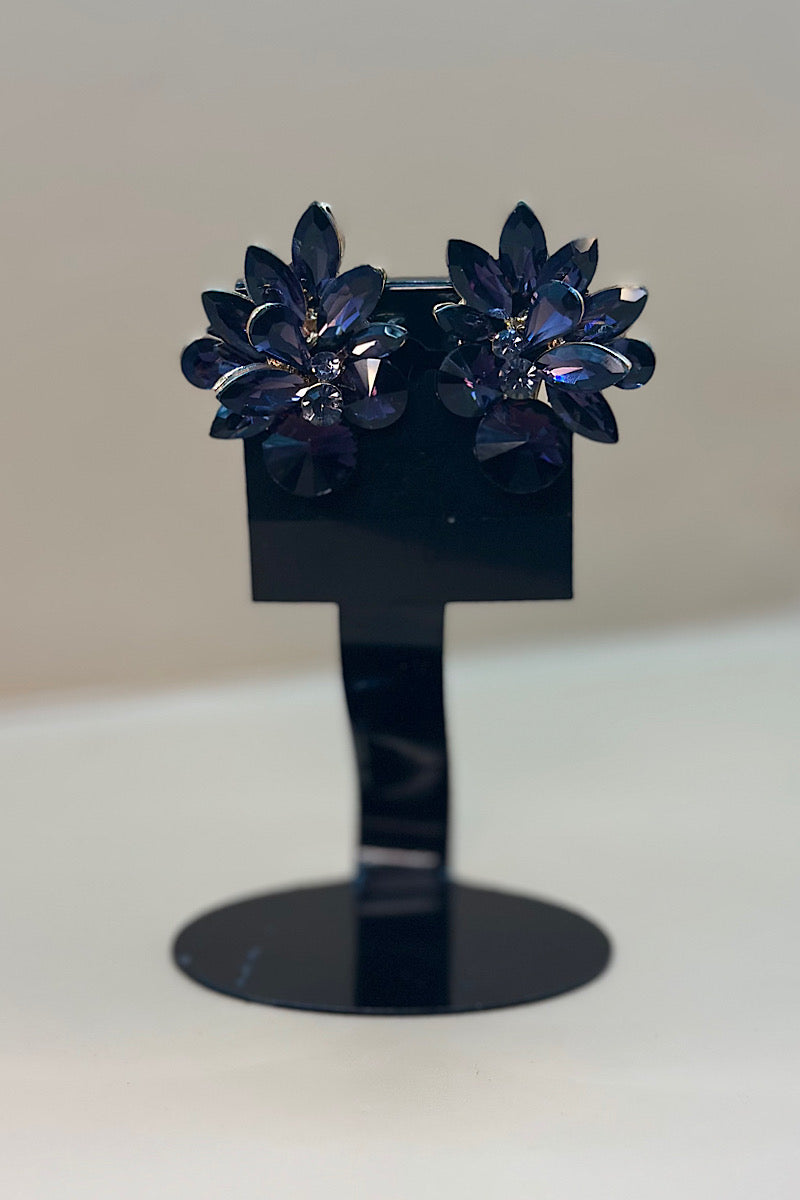 Earring- Multi Option Collection