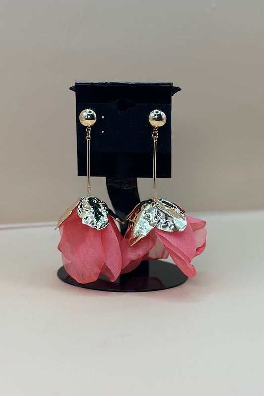 Earring- Multi Option Collection