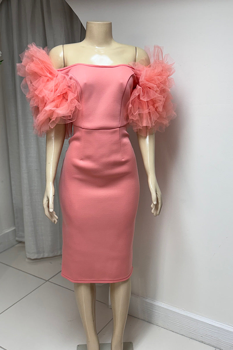 Peach Tulle Sleeve Dress