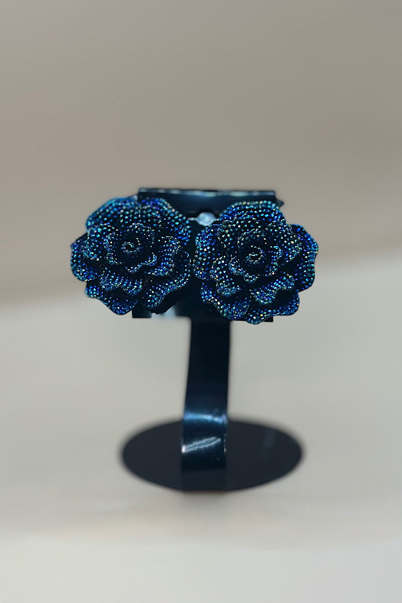 Earring- Multi Option Collection