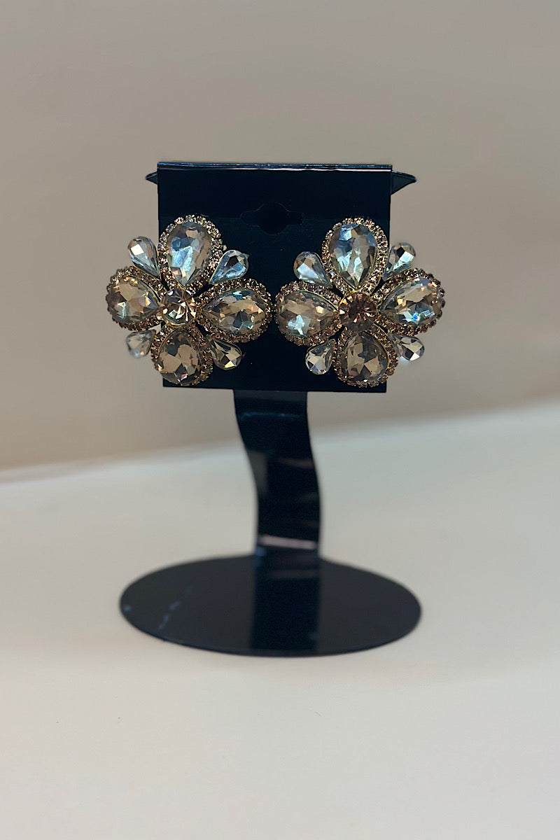 Earring- Multi Option Collection