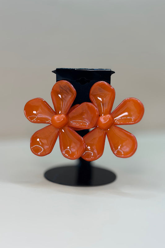 Earring- Multi Option Collection