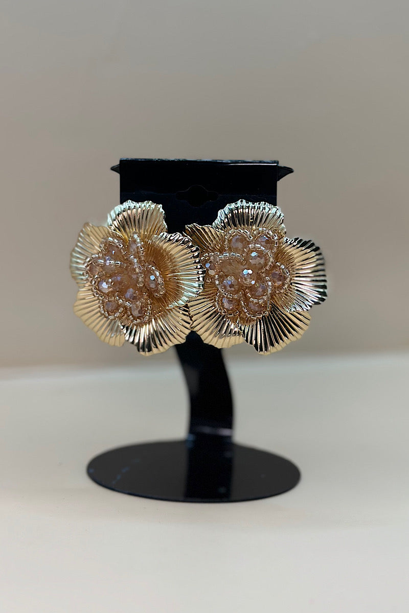 Earring- Multi Option Collection