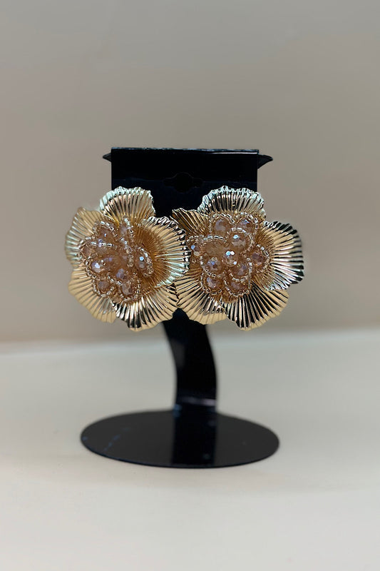 Earring- Multi Option Collection