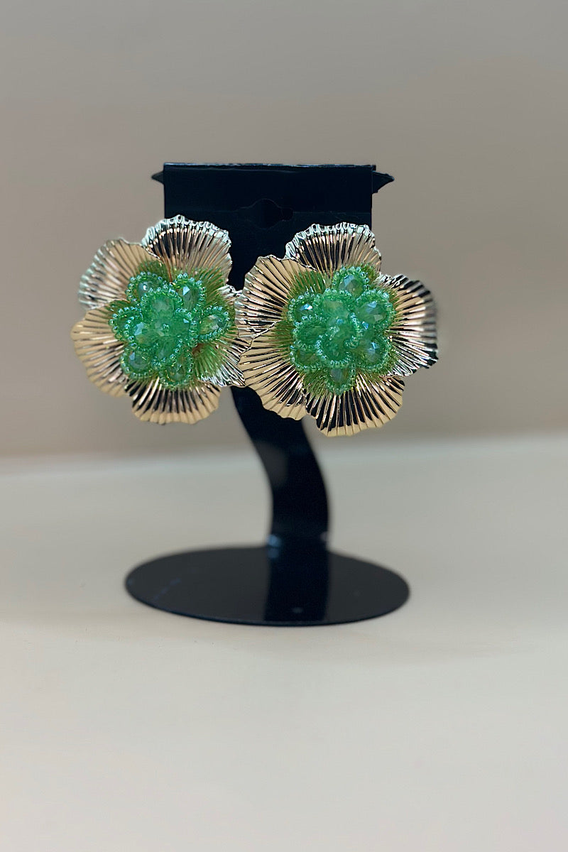 Earring- Multi Option Collection