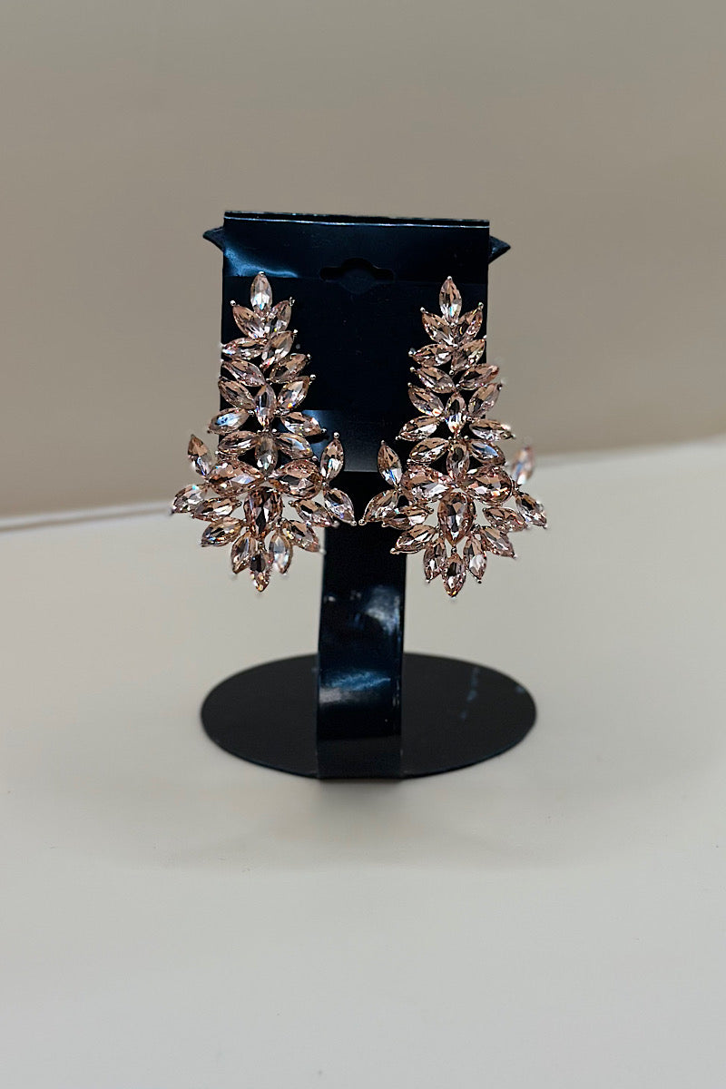 Earring- Multi Option Collection