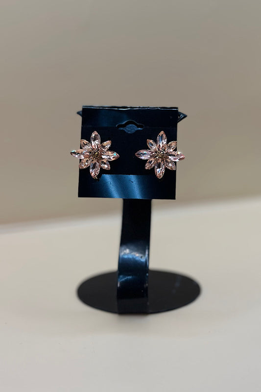 Earring- Rose Gold Collection