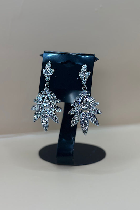 Earring- Silver Collection
